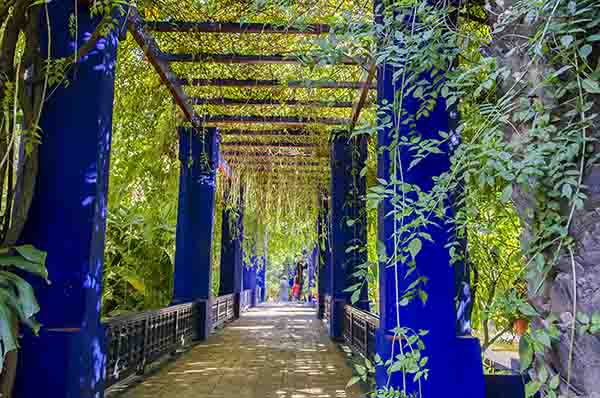 208 - Marruecos - Marrakech - jardin Majorelle
